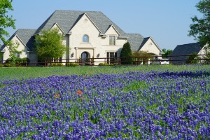 picture of house and flowers